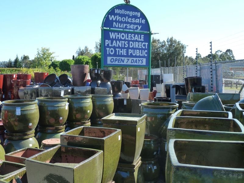 Thumbnail Pots Thumbnail Pots